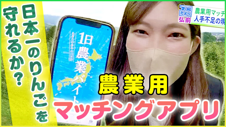 農業用のマッチングアプリって！？  日本一のりんごを守れるか？