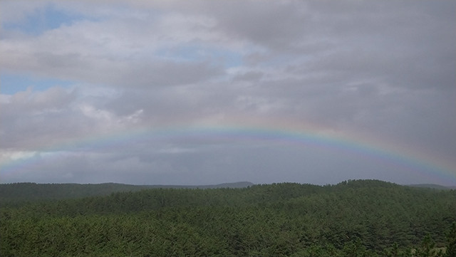 高山展望台からの虹