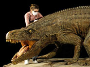 Photo: THE FIRST DINOSAURS (3)