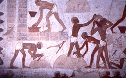 出エジプト記の“真実”　写真