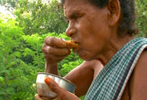 シリーズ ドキュメンタリー 熱インド 「食の曼陀羅」