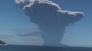 間近に迫った火砕流　～緊急報告 口永良部島噴火～