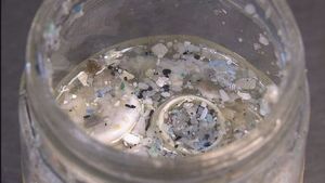 海に漂う“見えないゴミ” ～マイクロプラスチックの脅威～