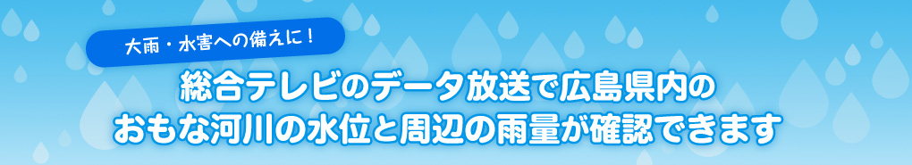 大雨・水害への備えに！総合テレビのデータ放送で広島県内の おもな河川の水位と周辺の雨量が確認できます