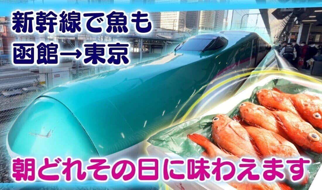 新幹線輸送のいま 函館の魚を東京へ