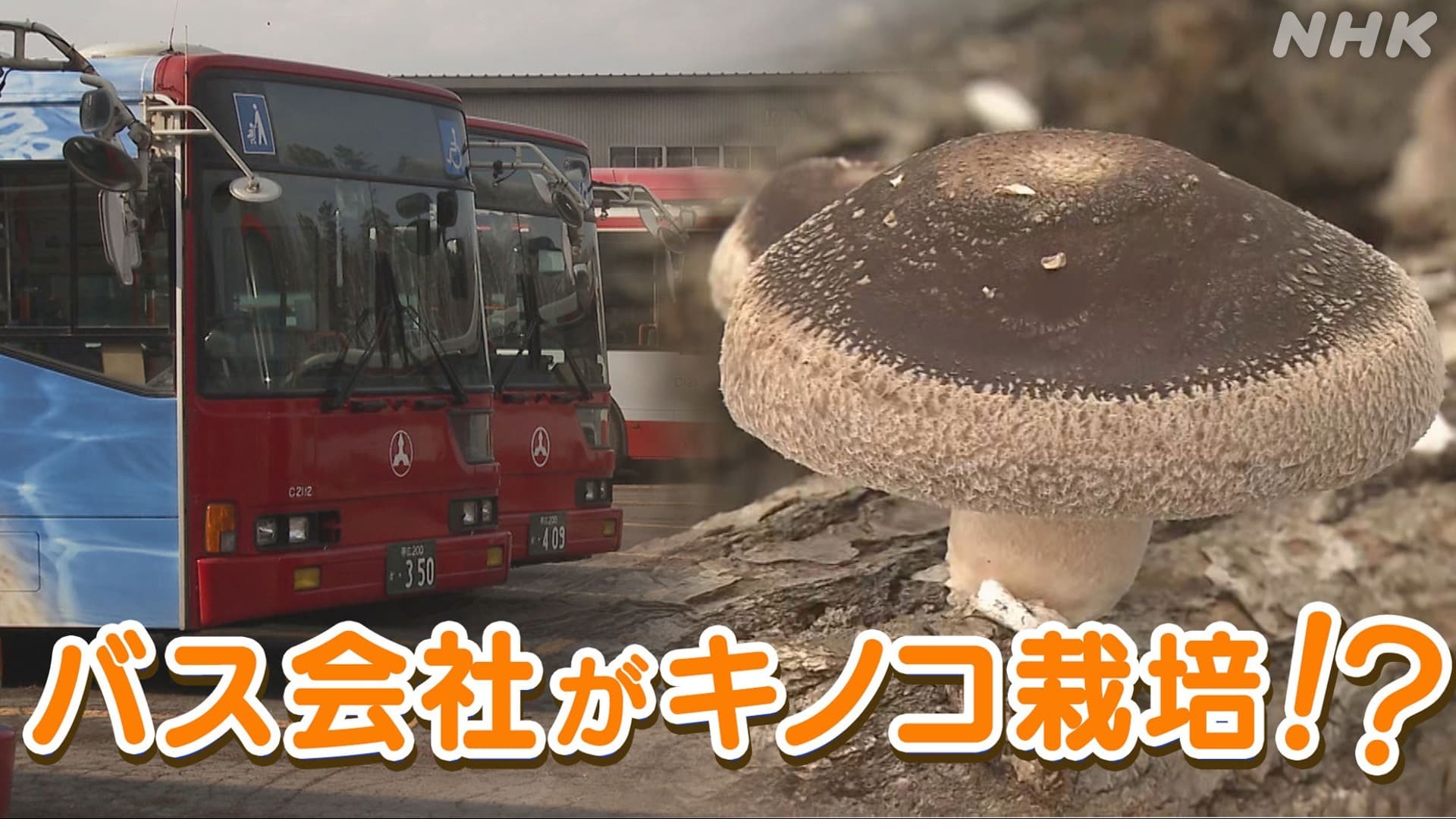 【十勝発】バス会社がキノコ栽培！？