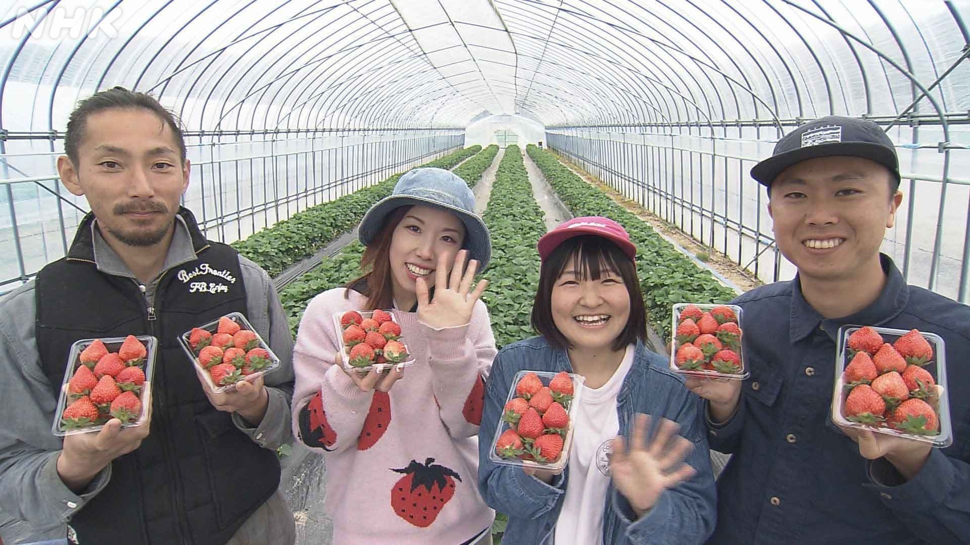豊浦のイチゴに新たな担い手！