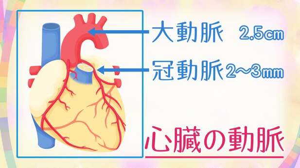 心臓の動脈