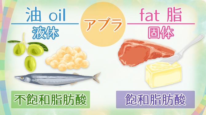 不飽和脂肪酸と飽和脂肪酸