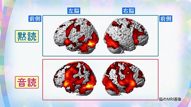 熟読、音読した時の脳のMRI画像