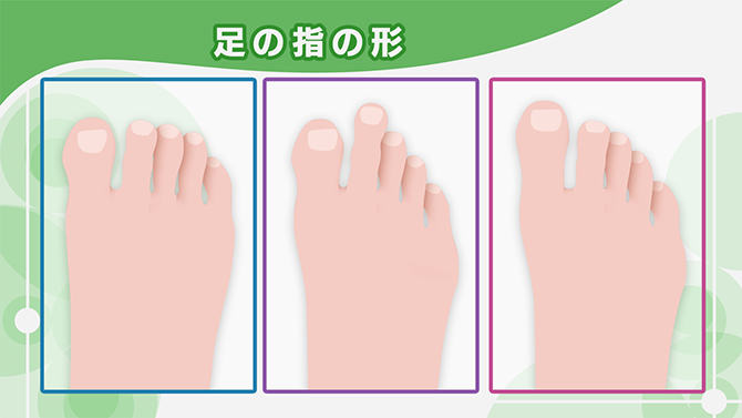 足の指の形