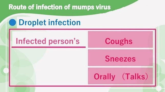 mumps_6