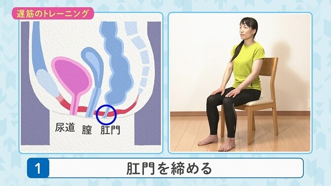 【動画付き】骨盤底筋トレーニングで尿もれ対策