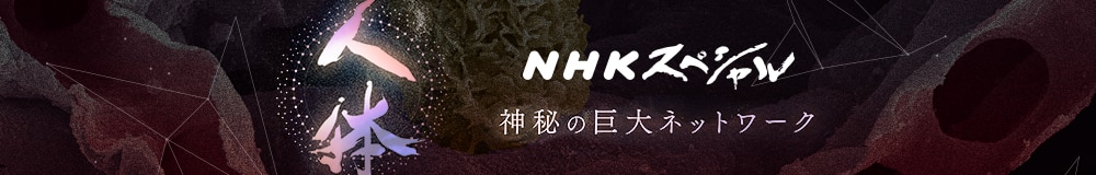 NHK健康チャンネル