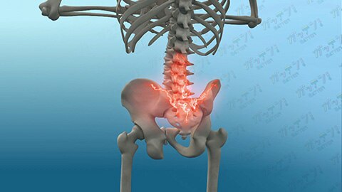 股関節の不具合によって生じる股関節痛かもしれない