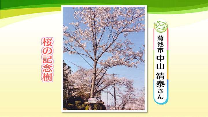 http://www.nhk.or.jp/kumamoto-blog/2021/03/30/image/0001_02099.png