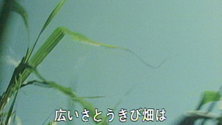さとうきび畑（1975年版）