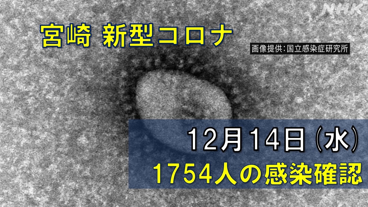 【随時更新】コロナ 宮崎の感染者数や病床使用率（12月14日）