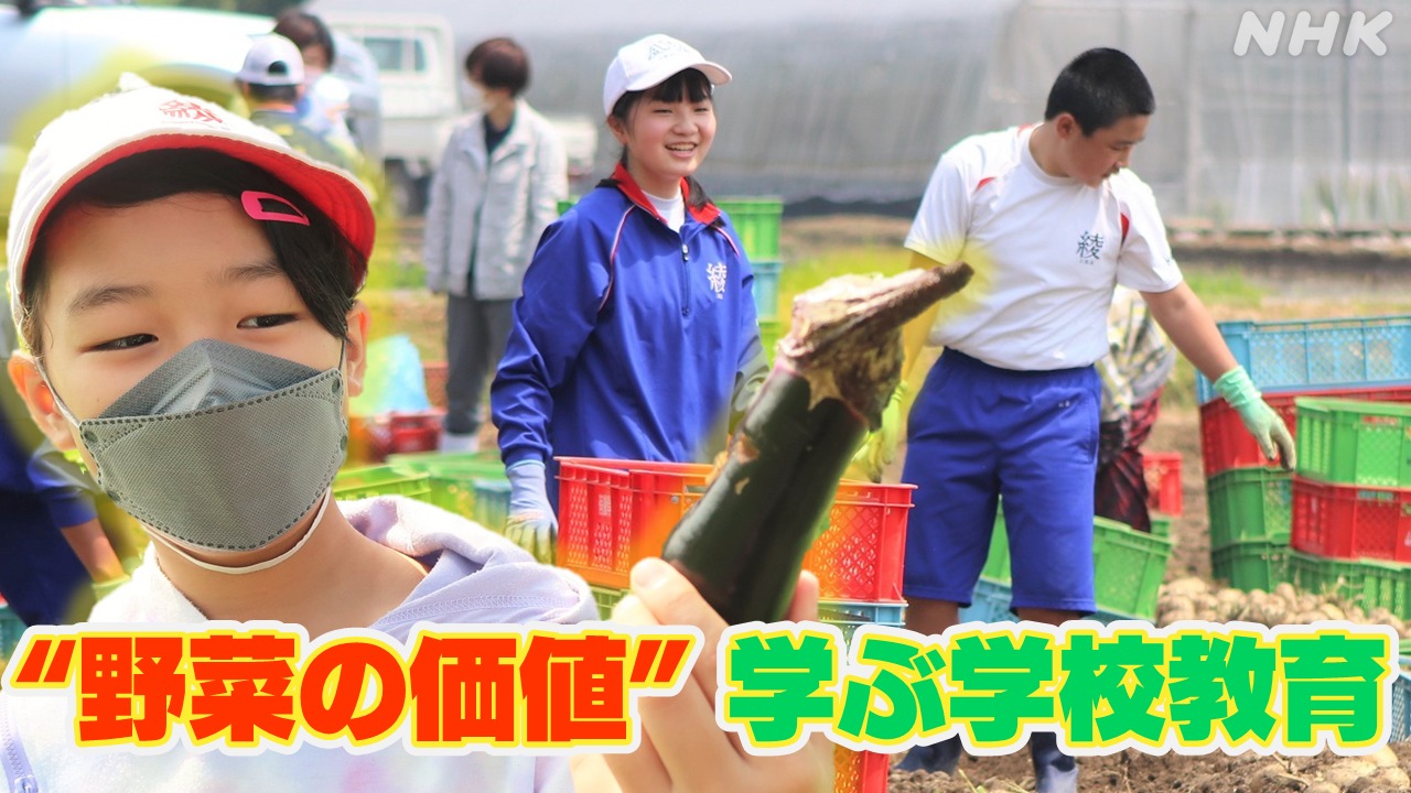 宮崎・綾町 の子どもが経験する「野菜の価値を学ぶ授業」とは