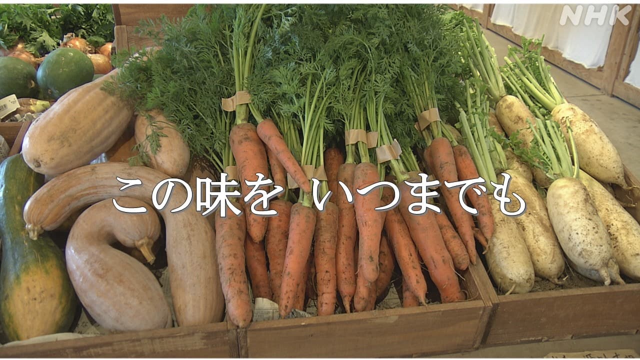 長崎県雲仙市　在来種野菜を流通から支える