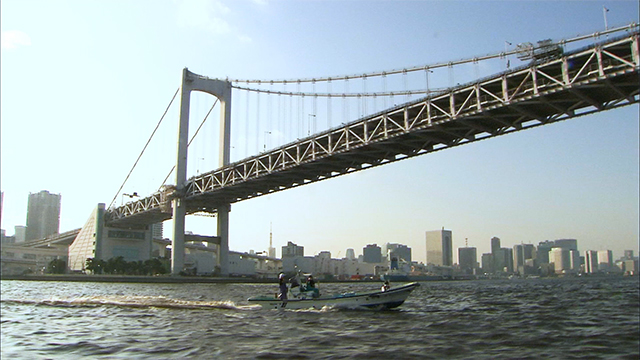 Today, from the Tokyo Bay area. It's been an important fishing ground since the time when Tokyo was known as Edo. 