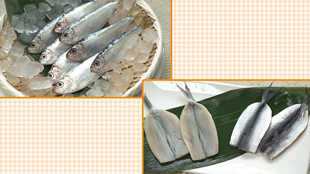 A type of herring (known locally as mamakari) is essential to bara-zushi. Mamakari are pickled in seasoned vinegar and eaten whole. The tender flesh and mild flavor make it a perfect topping for sushi rice.