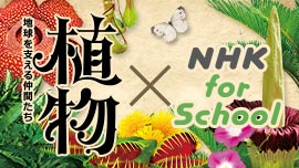 特別展「植物 地球を支える仲間たち」 × NHK for School