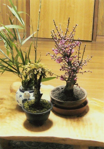 正月飾りの松竹梅