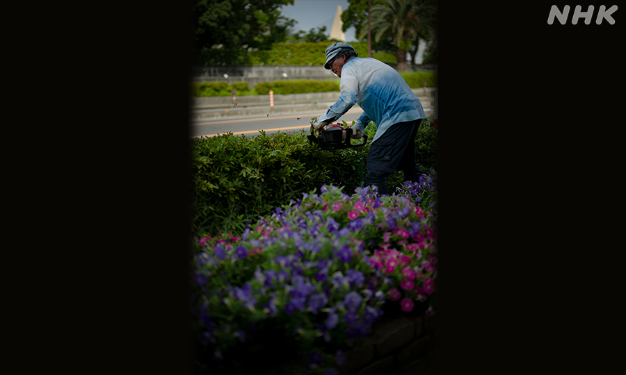 徳島市 花を植える