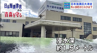 日本海溝津波による外ヶ浜町の浸水想定