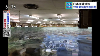 日本海溝津波による蓬田村の浸水想定