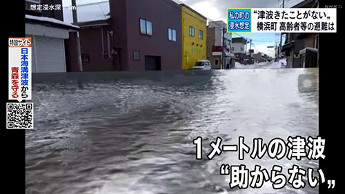 日本海溝津波による横浜町の浸水想定