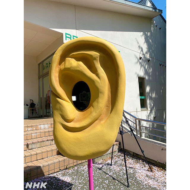 ナノコエの耳