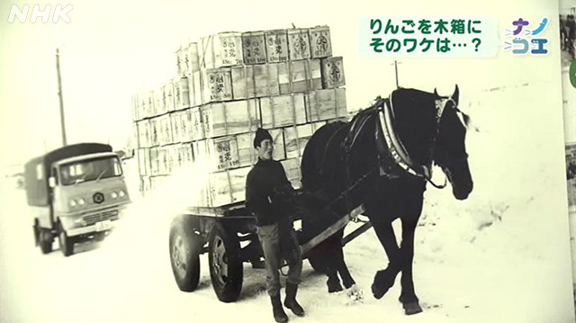 馬がりんごの入った木箱を運ぶ様子が映し出された古い白黒写真