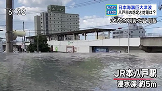 日本海溝津波による八戸市の浸水想定
