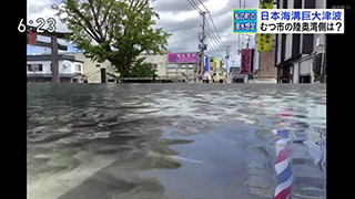 日本海溝津波によるむつ市の浸水想定