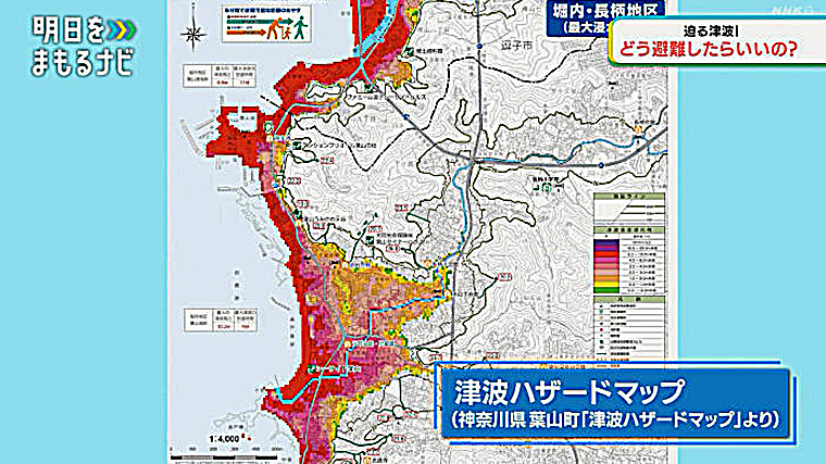津波ハザードマップ（神奈川県葉山町「津波ハザードマップ」より