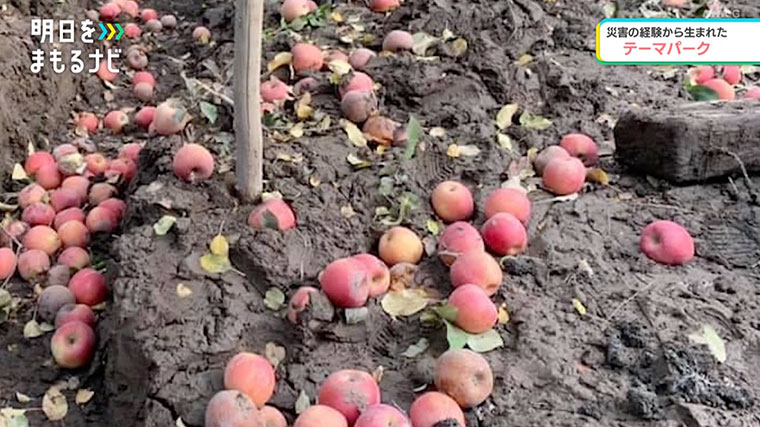 リンゴ農園に深く積もった泥