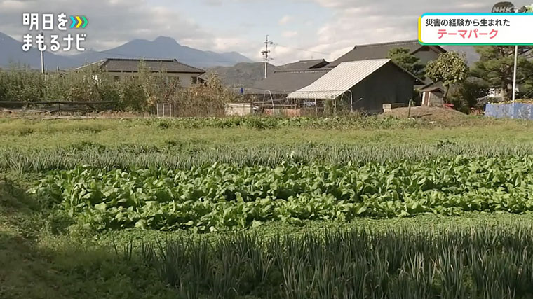 備蓄用野菜を育てる農場