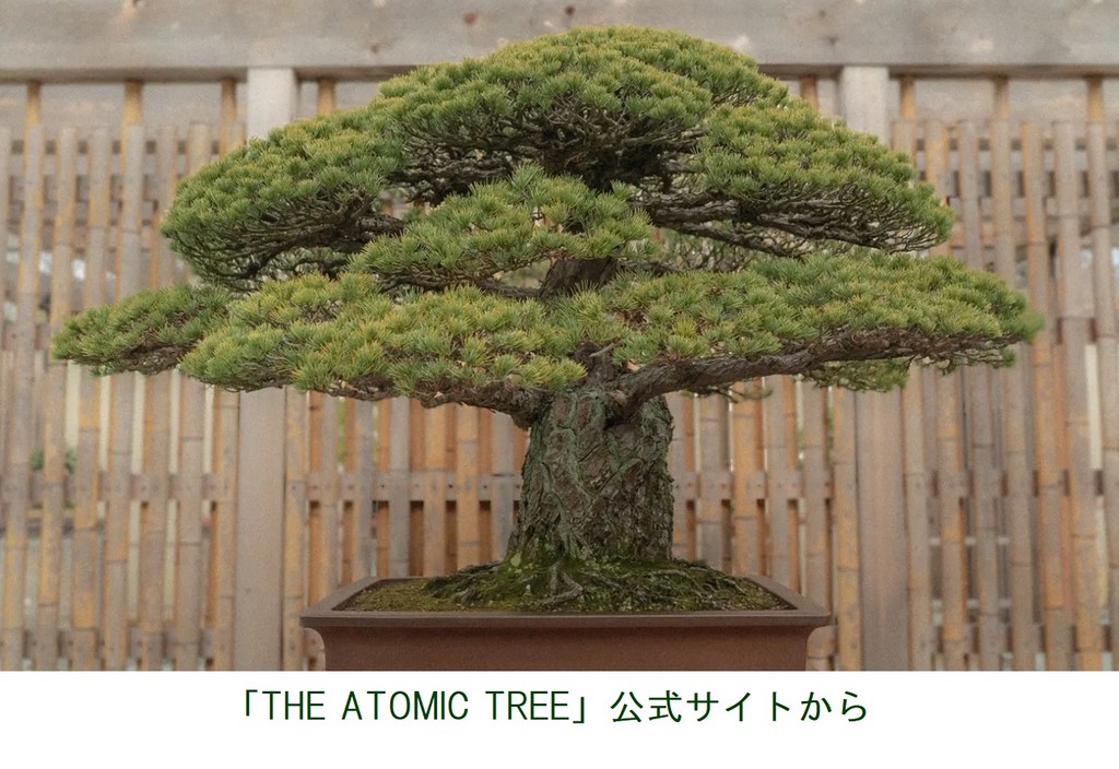http://www.nhk.or.jp/bunken-blog/image/tree.jpg