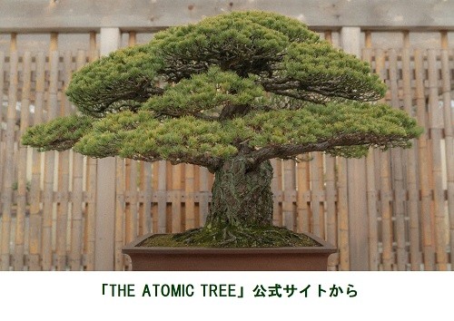 http://www.nhk.or.jp/bunken-blog/image/tree8.jpg