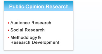 Public Opinion Research: Audience Research, Social Research, Methodology&Research Development