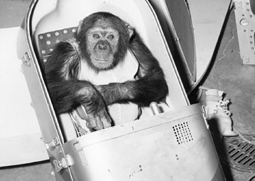 国際共同制作　HAM　～チンパンジー宇宙飛行士の物語～