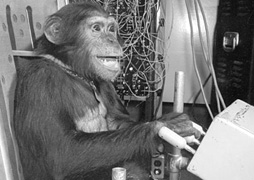 国際共同制作　HAM　～チンパンジー宇宙飛行士の物語～　写真