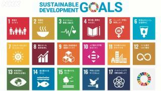 SDGs（エス・ディー・ジーズ）ってなんだろう？