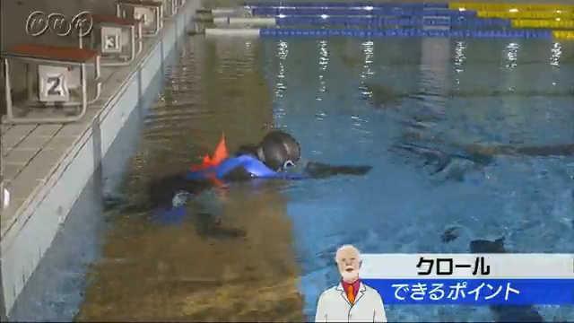 クロール　できるポイント(水泳ノ介） | NHK for School