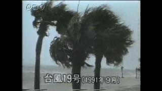 台風１９号（1991年）のひ害