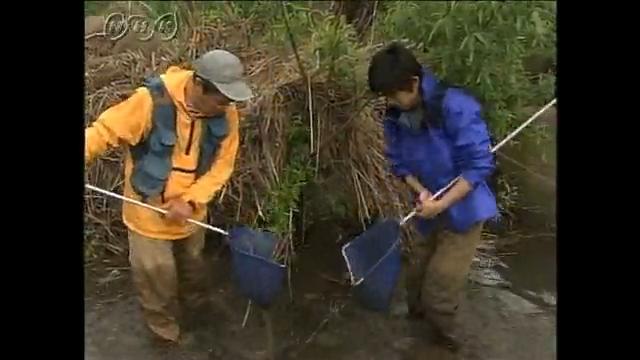 タモ網で小魚をとろう | NHK for School