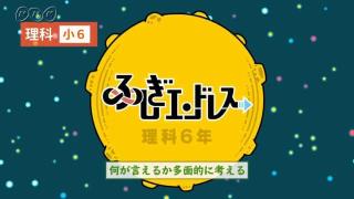 ふしぎエンドレス 理科６年 | NHK for School