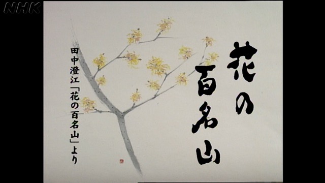 新品】花の百名山 田中澄江 DVD 10巻 NHK（完結） | legaleagle.co.nz